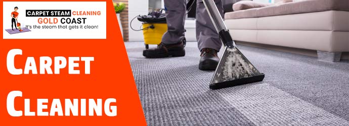Carpet Cleaning Service