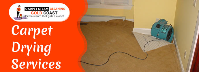 Carpet Drying Services