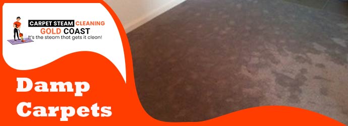 Damp Carpet
