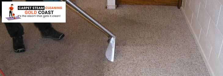 Professional Carpet Cleaner