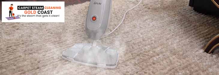 Professional Carpet Steam Cleaner